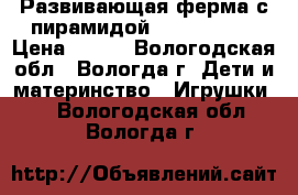 Развивающая ферма с пирамидой  Kiddieland › Цена ­ 700 - Вологодская обл., Вологда г. Дети и материнство » Игрушки   . Вологодская обл.,Вологда г.